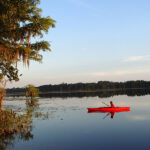 Lake Iamonia